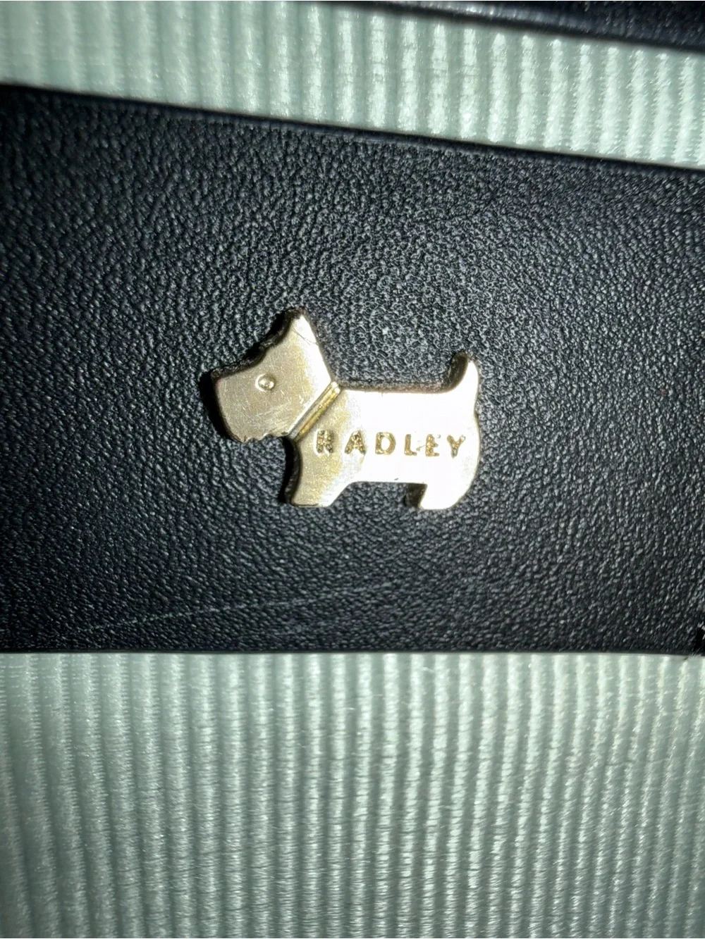 Radley London Crossbody Messenger Bag - Sleek Everyday Carry